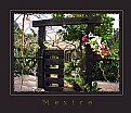 Picture Title - Mexico