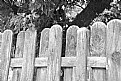 Picture Title - Fence