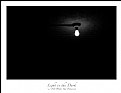 Picture Title - Light in the Dark