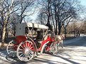 Picture Title - Ride Through Central Park