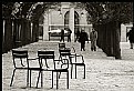 Picture Title - Jardin des Tuileries