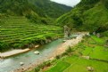 Picture Title - Bontoc garden