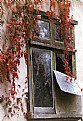 Picture Title - Window Art