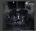 Picture Title - Waterdrop Elements