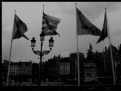 Picture Title - Flags of Flanders