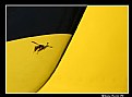 Picture Title - Yellow Wasp