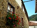 Picture Title - Potes 9