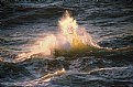 Picture Title - Golden Splash