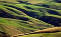 Picture Title - Rolling Hills