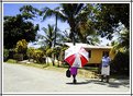 Picture Title - walking on Jamaica isle