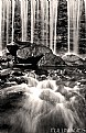 Picture Title - falls in b/w