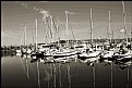 Picture Title - Boat Harbour