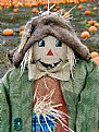 Picture Title - Scarecrow (not scary)