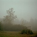 Picture Title - The Fog Season is comming