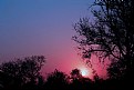 Picture Title - African Bush Sunset