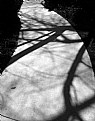 Picture Title - shadowed pathway