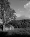 Picture Title - Forgotten Barn