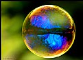 Picture Title - World in a Bubble