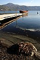 Picture Title - lago di Castel Gandolfo