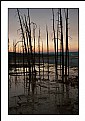 Picture Title - Dusk at Yellowstone