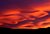 Otago Sunset
