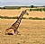 Chillin' at Masai Mara