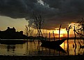 Picture Title - Cedro -- Quixadá - Ceará - Brasil