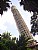 cairo tower