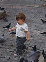 Picture Title - Kuslar/ Birds...