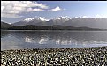 Picture Title - Lake Te Anau