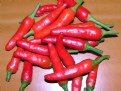 Picture Title - Chile Pepper Harvest!