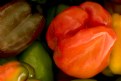 Picture Title - Bell peppers 1542