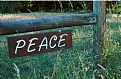 Picture Title - Peace Gate