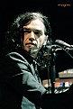 Picture Title - morgan