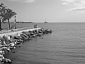 Picture Title - El Malecon