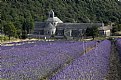 Picture Title - Senanque Abbey