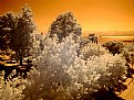 Picture Title - Gulf of Izmit (IR)