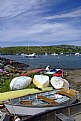 Picture Title - Painting the Harbor