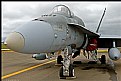 Picture Title - Hornet Nose