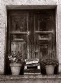 Picture Title - Old window with vases