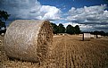 Picture Title - Biggin Hill Harvest