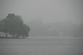 Picture Title - foggy day
