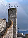 Picture Title - Museum Steps ~ Lyme Regis