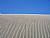 Dune Lines