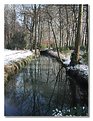 Picture Title - Winter in a Park