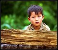 Picture Title - A Boy and his Log