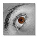 Picture Title - Eye