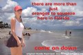 Picture Title - Florida Postcard