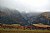 Vineyards in Winter Colours