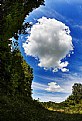 Picture Title - BiGG Cloud